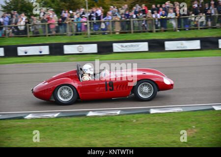 Conrad Ulrich, Maserati 300S, Sussex Trophy sport, voitures de sport, voitures de course, Goodwood Revival 2013 Banque D'Images