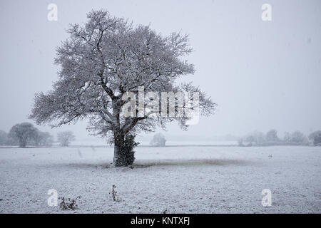 La première neige de cet hiver à peu de Clacton, Essex. Banque D'Images