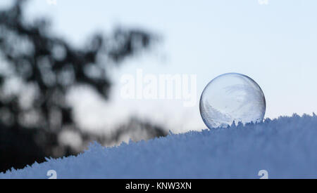 Bulle de savon gelée délicate à l'aube, le Lever du Soleil, Jack Frost, modèles de glace, le froid, le gel Banque D'Images
