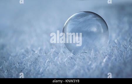 Bulle de savon gelée délicate à l'aube, le Lever du Soleil, Jack Frost, modèles de glace, le froid, le gel Banque D'Images
