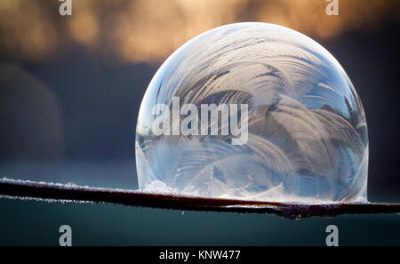 Bulle de savon gelée délicate à l'aube, le Lever du Soleil, Jack Frost, modèles de glace, le froid, le gel Banque D'Images