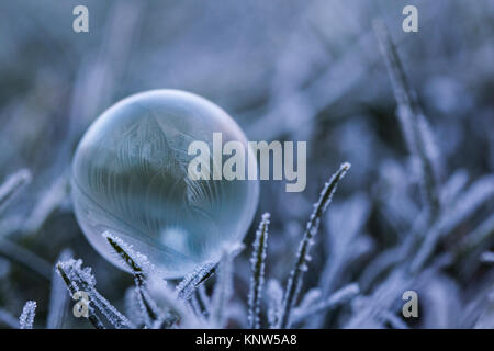Bulle de savon gelée délicate à l'aube, le Lever du Soleil, Jack Frost, modèles de glace, le froid, le gel Banque D'Images