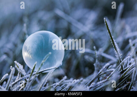 Bulle de savon gelée délicate à l'aube, le Lever du Soleil, Jack Frost, modèles de glace, le froid, le gel Banque D'Images