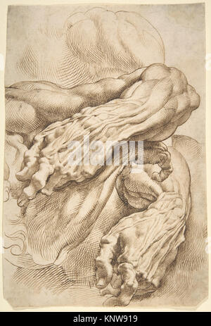 Illustration montrant des études anatomiques d'un avant-bras gauche en deux positions et d'un avant-bras droit, mettant en évidence les os, les muscles, les articulations et les détails structurels pour référence scientifique. Banque D'Images