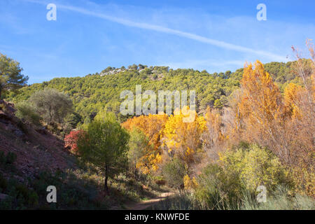 Un andalou pittoresque coloré bois avec vert jaune et feuillage rouge sur des collines sous un ciel bleu en espagne Banque D'Images