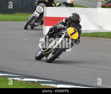 Jeremy McWilliams, Duncan Fitchett, Norton Manx, Barry Sheene Memorial Trophy, Goodwood Revival 2014, 2104, Barry Sheene Memorial Trophy, course de moto, Banque D'Images