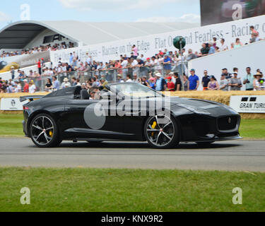 Projet 7 Jaguar, Goodwood FoS 2015, 2015, Classic, animation, intrépide, Festival of Speed, Flat Out, FoS, Goodwood, Goodwood FoS, Goodwood 2015 M Banque D'Images