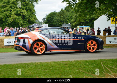 Andy Green, Jaguar XVR, véhicule de soutien Bloodhound, Goodwood FoS 2015, 2015, Classic, animation, intrépide, Festival of Speed, Flat Out, FoS, Goodw Banque D'Images