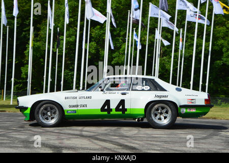 Micky Collins, Trans-Am Jaguar XJS, Goodwood FoS 2015, 2015, Classic, animation, intrépide, Festival of Speed, Flat Out, FoS, Goodwood, Goodwood Fo Banque D'Images