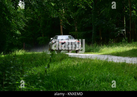 Adam Marsden, Audi Quattro, BPC 11 Y, Forest rally, Goodwood FoS 2015, 2015, Classic, poussières, animation, intrépide, Festival of Speed, Flat Out Banque D'Images