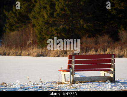 Banc de parc avec vue sur un lac gelé. Banque D'Images