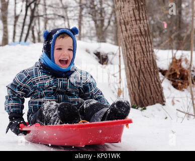 Un petit garçon riant comme il glisse sur son traîneau en hiver au Québec Banque D'Images