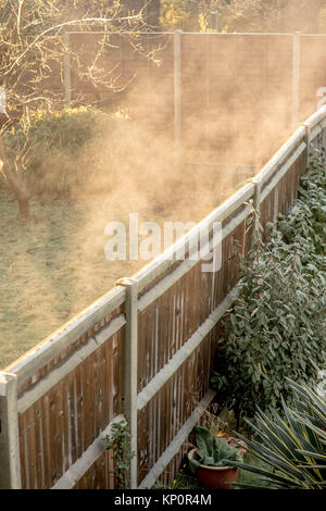 Frosty matin froid avec brouillard passant sous forme de givre dégèle dans un jardin dans le sud de Londres Banque D'Images