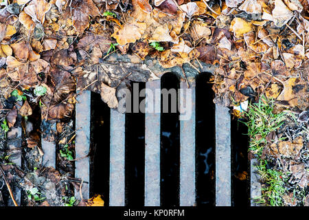 Les feuilles mortes autour d'un couvercle de vidange sur le côté d'une route Banque D'Images