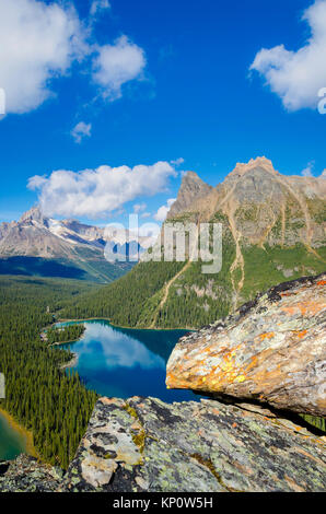 Donnant sur le lac O'Hara et Mary Lake, du plateau Opabin, , le parc national Yoho, Colombie-Britannique, Canada Banque D'Images