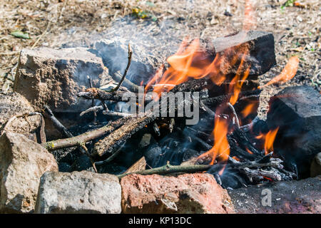 Bonfire, divorcé dans la forêt. Chaude journée d'été. Banque D'Images