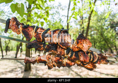 Sur les brochettes de viande prêt à l'extérieur dans la forêt Banque D'Images