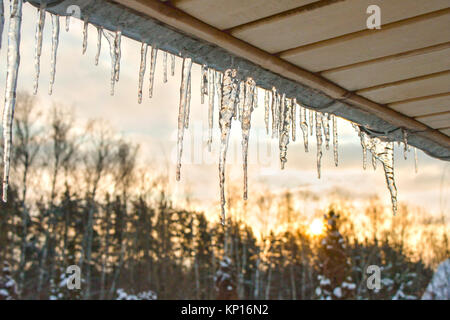 Glaçons pendant de mousseux le toit d'une véranda en bois sur fond de coucher de soleil une forêt de feuillus conifères. Banque D'Images