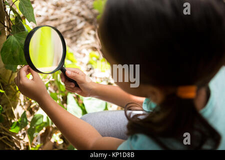 Petite fille à la découverte de la nature par loupe dans la forêt Banque D'Images