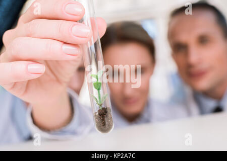 Les scientifiques examining test tube Banque D'Images