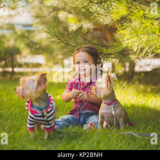 Petite fille et deux yorkshire terrier Banque D'Images