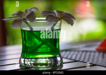 Belles fleurs de frangipanier dans un verre avec de l'eau vert sur une table close-up Banque D'Images