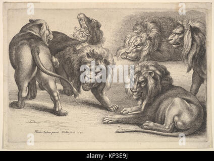 Livre illustré représentant cinq lions et une lionne, représentant la faune dans les détails naturalistes, adapté à la photographie éditoriale et de stock. Banque D'Images