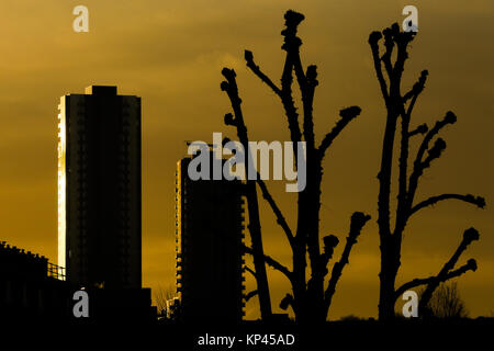 Londres, Royaume-Uni. 14 Décembre, 2017. Ciel de couleur orange au lever du soleil, dans le nord de Londres jette une silhouette d'arbre et de construction Crédit : Dinendra Haria/Alamy Live News Banque D'Images