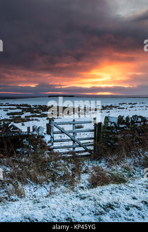 Teesdale, comté de Durham au Royaume-Uni. Jeudi 14 décembre 2017. Météo britannique. C'était un froid et neigeux pour la journée, comme le soleil se levait au-dessus de Teesdale County Durham ce matin. Crédit : David Forster/Alamy Live News Banque D'Images