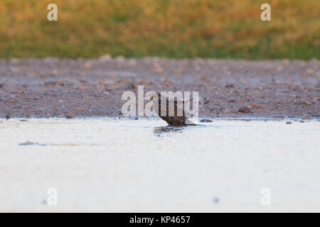 Sheerness, Kent, UK. 14 Décembre, 2017. Météo France : par un froid matin le soleil se leva dans un ciel bleu clair sur un matin ensoleillé. Credit : James Bell/Alamy Live News Banque D'Images