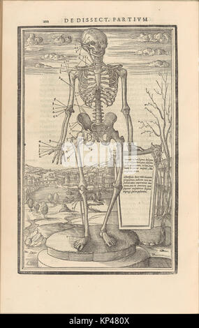 Ceci est un texte anatomique historique intitulé 'de dissectione partium corporis humani libri tres' du Metropolitan Museum of Art, numéro de catalogue DP257234. Il détaille l'anatomie humaine à travers des illustrations et des descriptions détaillées. Banque D'Images