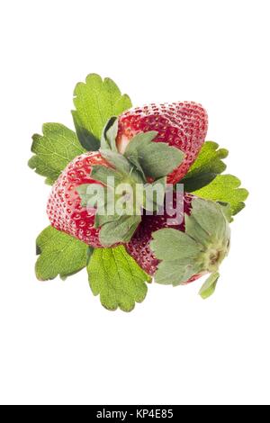 Gros plan de fraises Banque D'Images