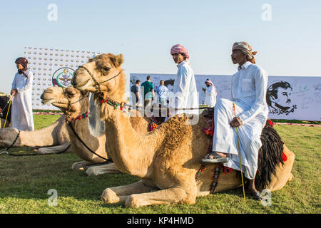 Les chameaux ont été affichées à la Force aérienne Qatarie à l'échange culturel de la famille Al Udeid Air Base, Qatar, le 1 décembre, 2017. L'échange culturel, organisé par l'QEAF, était un événement qui confère à l'établissement des relations et des membres de familles Qatari, et les forces de la coalition américaine une occasion d'interagir et d'en apprendre plus sur d'autres cultures. L'événement comprenait des expositions culturelles, des animaux, de la nourriture locale, des jeux pour les enfants et plus encore. (U.S. Air National Guard Banque D'Images