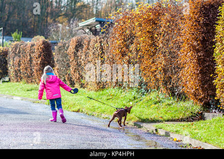 Petite fille qui marche avec chiot pincher miniature dans la ville Banque D'Images