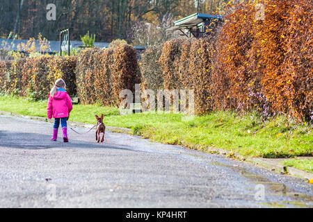 Petite fille qui marche avec chiot pincher miniature dans la ville Banque D'Images