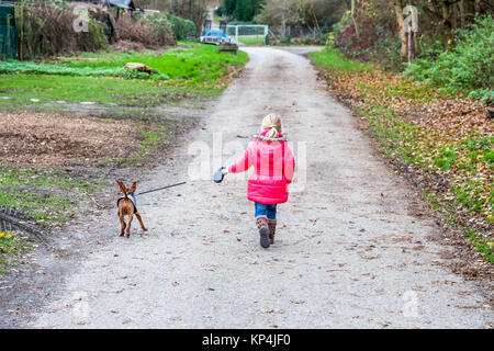 Petite fille qui marche avec chiot pincher miniature dans la ville Banque D'Images