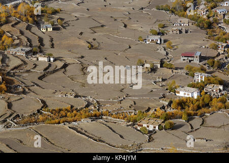Vue aérienne du paysage rural avec champs de haute altitude par la route de Pangong Tso à Leh, Ladakh, le Jammu-et-Cachemire, en Inde. Banque D'Images