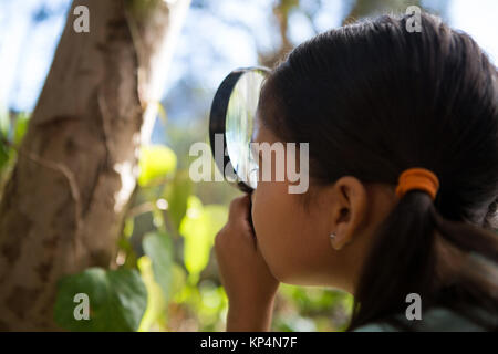 Little girl holding magnifying glass explorer la nature dans la forêt Banque D'Images