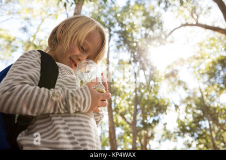 Little girl holding pot avec plante dans la forêt Banque D'Images