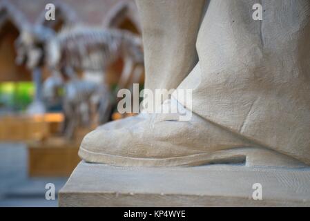 Vue rapprochée du pied d'une statue dans le musée d'Histoire Naturelle d'Oxford avec des squelettes d'éléphants dans l'arrière-plan, UK Banque D'Images