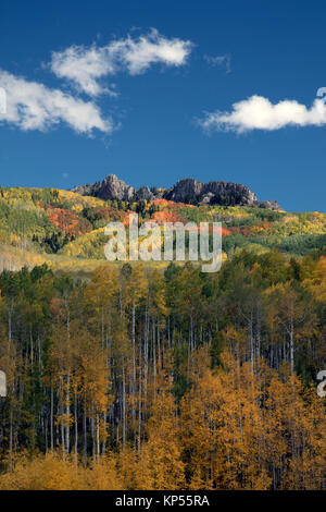 Les couleurs de l'automne dans les tremblaies Kebler Pass près de Crested Butte Colorado du nord. Le feuillage des trembles tourner au jaune et orange Banque D'Images