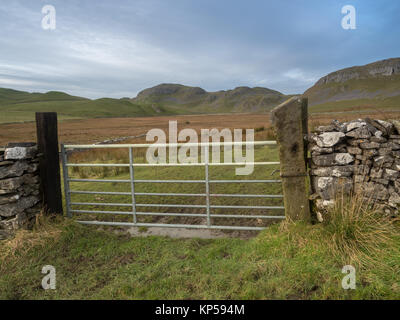 Marche dans les collines au-dessus de régler et Malham dans le Yorkshire Dales Banque D'Images