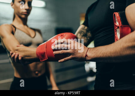 Formateur et boxer Banque D'Images