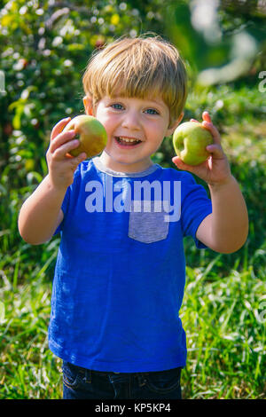 Adorable bébé garçon holding apples de cueillette de pommes au début de l'automne automne Banque D'Images