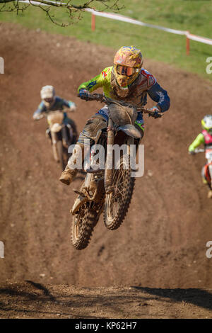 Honda catégorie MX1 Motocross venus à l 2017 Maxxis British Motocross Championship, Lyng, Cadders Hill, Norfolk, Royaume-Uni. Banque D'Images