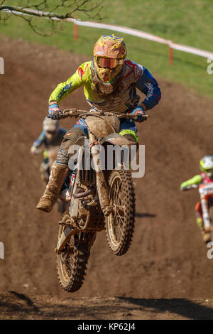 Honda catégorie MX1 Motocross venus à l 2017 Maxxis British Motocross Championship, Lyng, Cadders Hill, Norfolk, Royaume-Uni. Banque D'Images