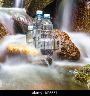 Bouteille d'eau minérale à l'eau en forêt bois Banque D'Images