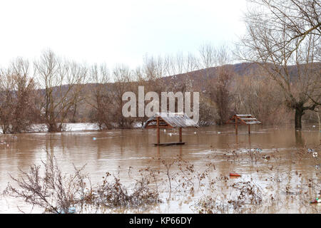 La rivière après les averses sont sortis des banques. L'inondation de rivière, arbres après une inondation Banque D'Images