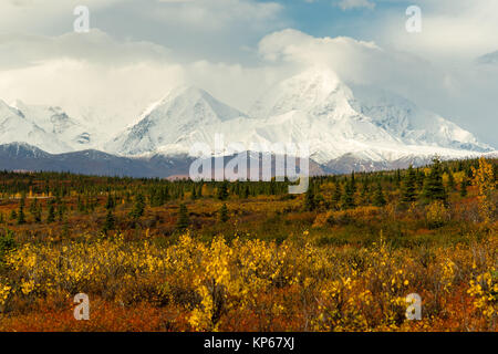 Couvre-sol les plantes changent de couleur Automne Montagnes de l'Alaska Banque D'Images