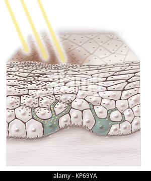 ILLUSTRATION DE BRONZAGE Banque D'Images